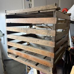 Antique Chicken Carrier / Separator / Transporter with Feed Slot.