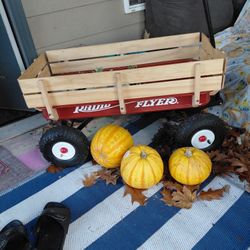 Radio Flyer Wagon Metal