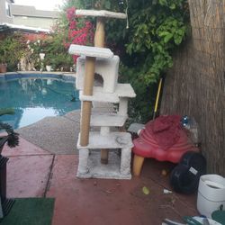Cat House 🏠 