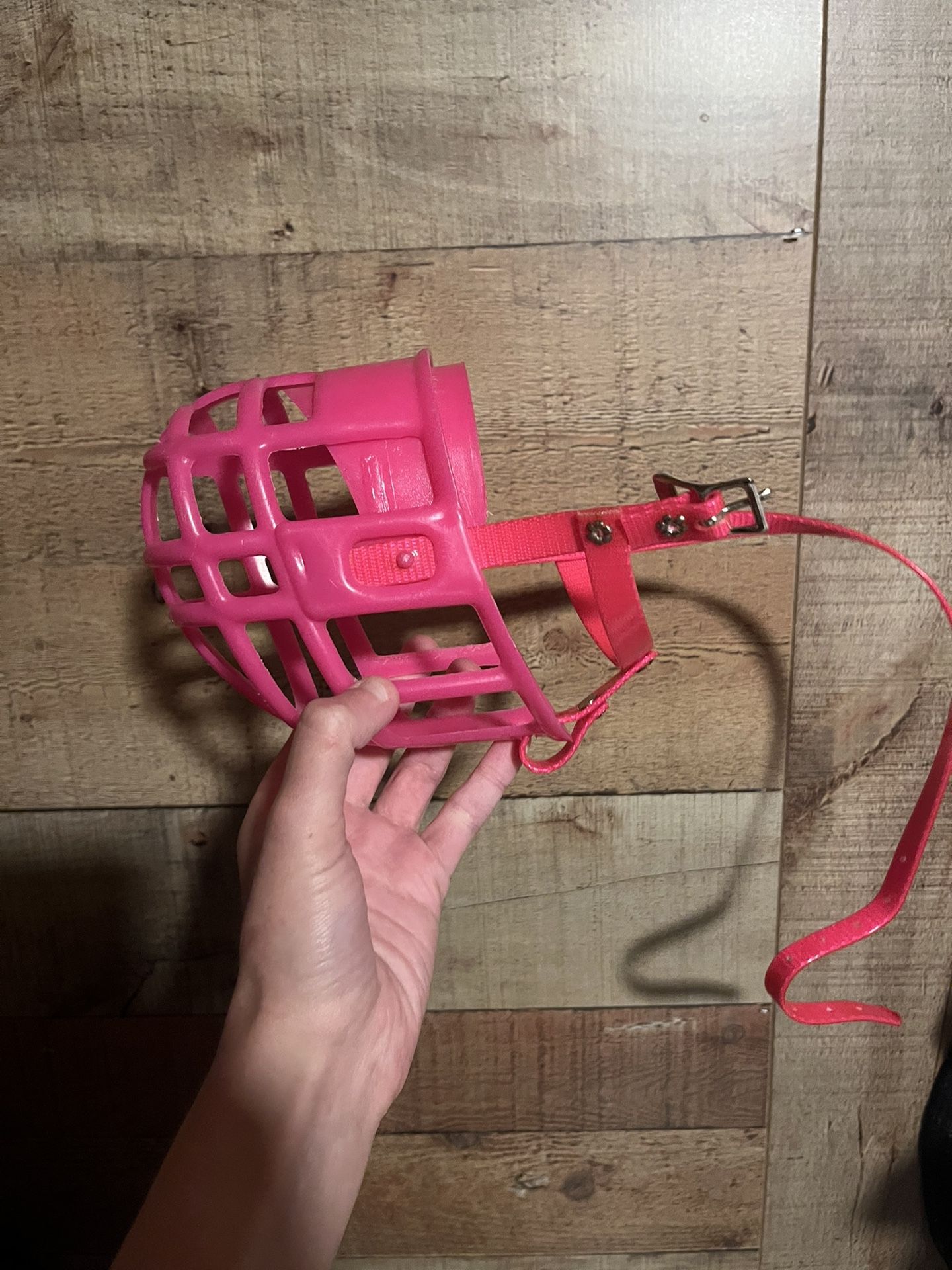 Muzzle For Dog