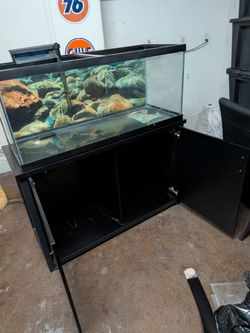 75 fish aquarium, stand, filter, top,  and all supplies included