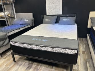 FREE DELIVER SAME DAY 