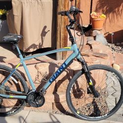 GIANT ROAM 2 XL HYBRID BIKE for Sale in Henderson NV OfferUp