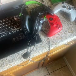 Turtle Beaches 