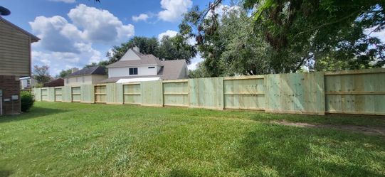 Pine fence