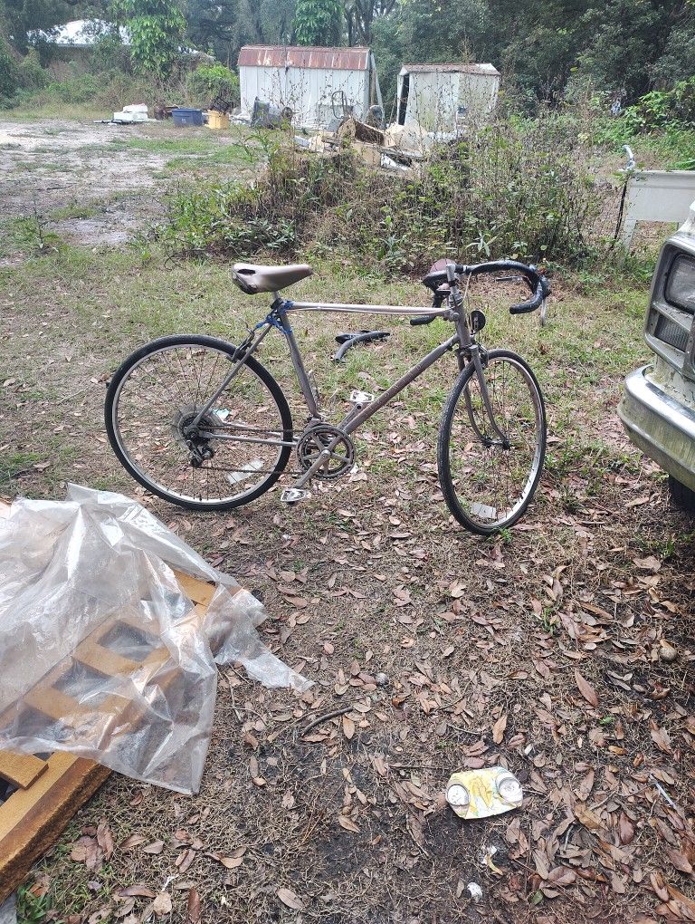 10 Speed Aerowind Bicycle 