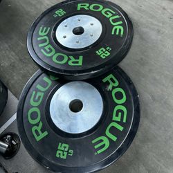 Rogue Bumpers Weights 