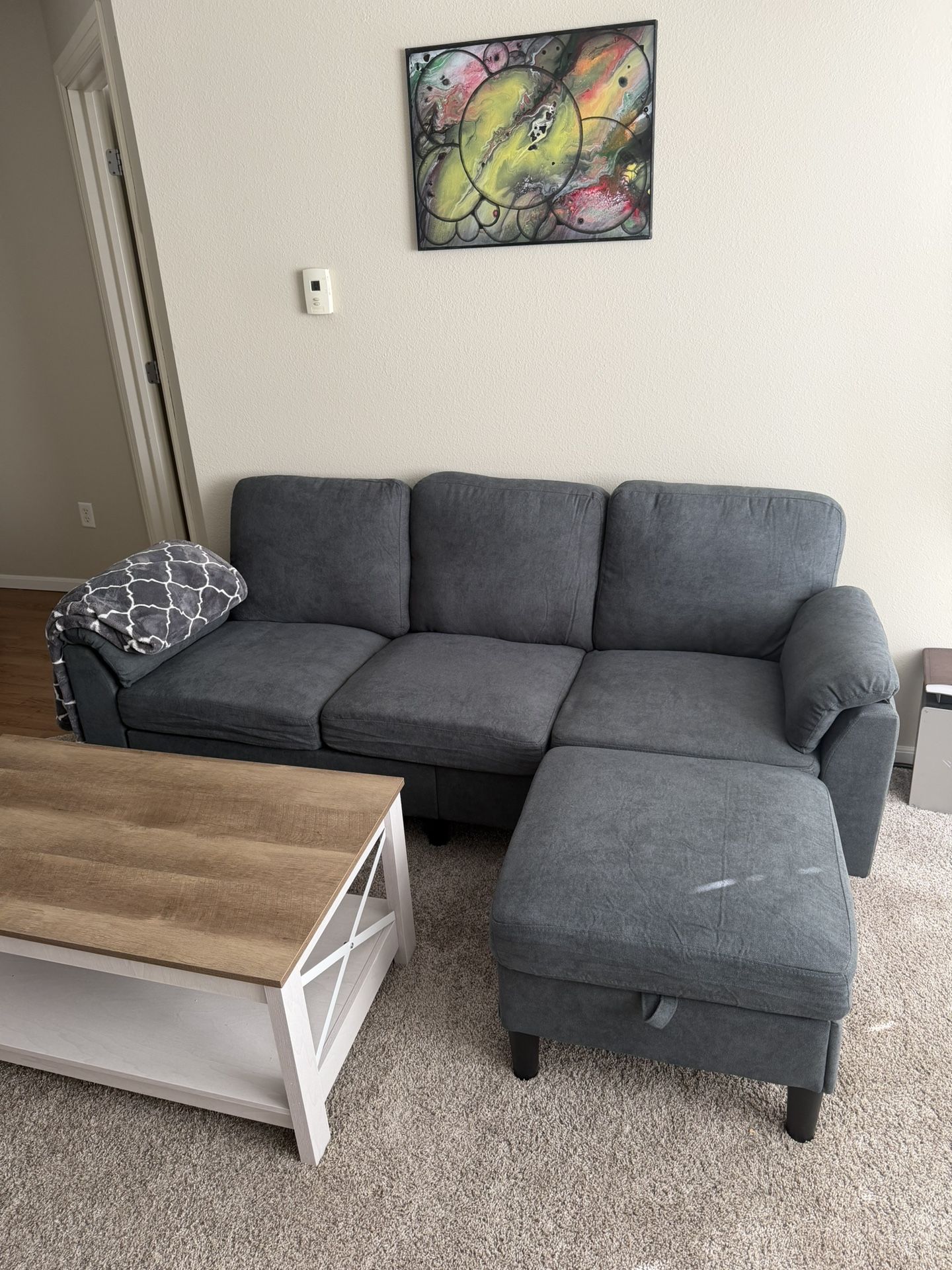 Grey Sectional Couch