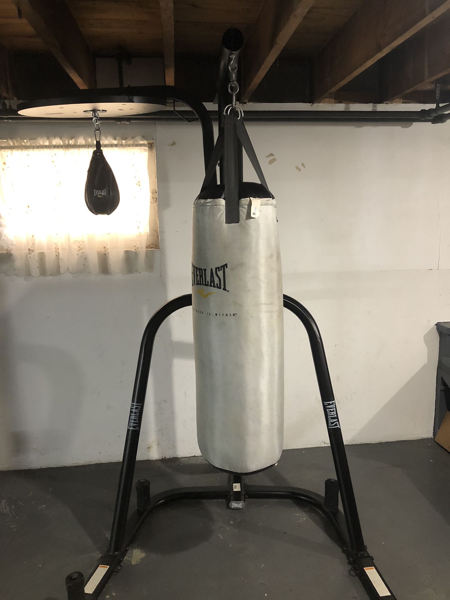 Everlast Punching Bag with Speed Bag