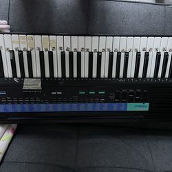 Casio 210 sound tone bank beginner keyboard