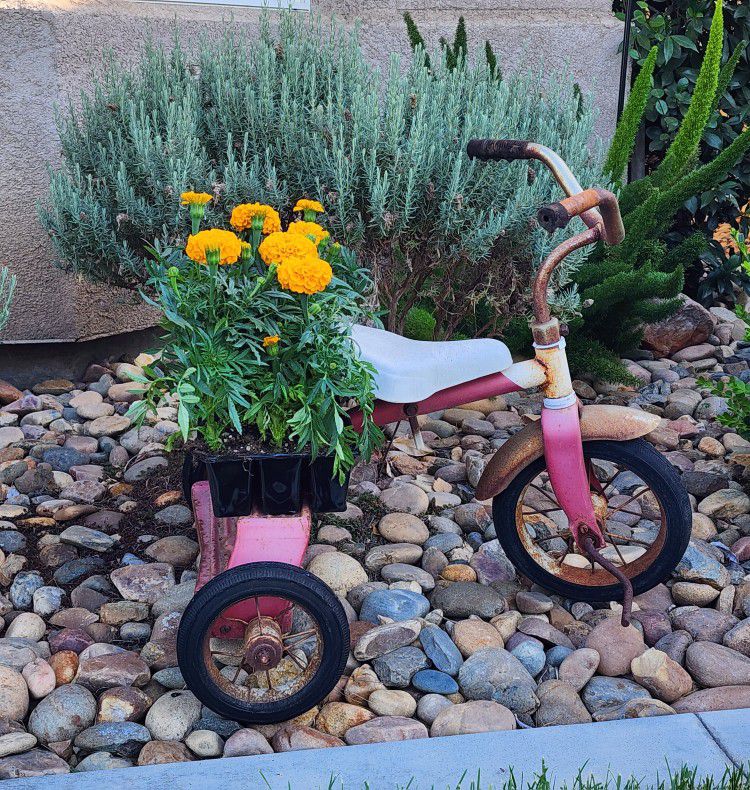 Super Cute Tricycle Yard Decor (SERIOUS BUYER ONLY)