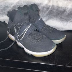 Lebron 14 