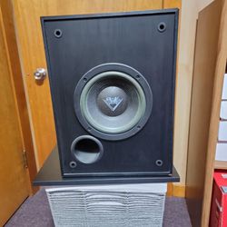 Klipsch Subwoofer 