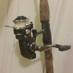 Daiwa Fishing rod and reel