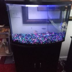 36 Gallon Fish Tank And Stand Set Up