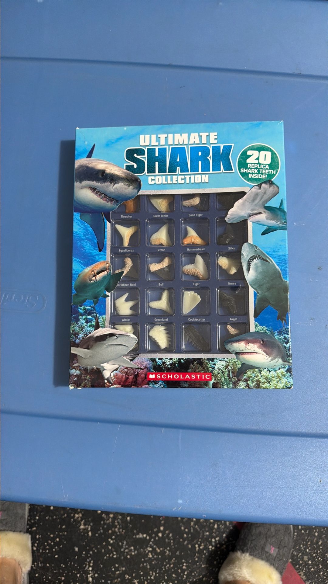New! Shark Teeth (replica) Scholastic $10