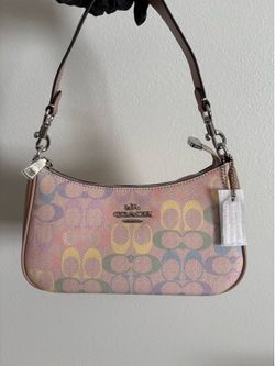 Teri purse