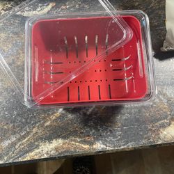 Large Plastic Berry Basket