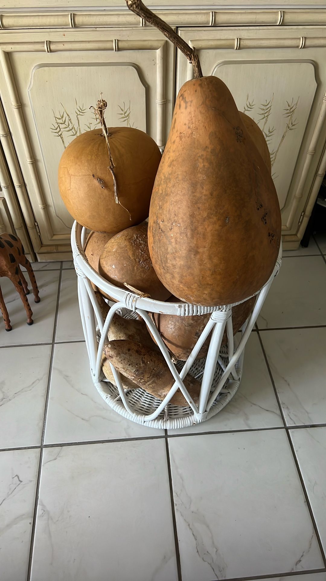 Large Dried Birdhouse Gourds