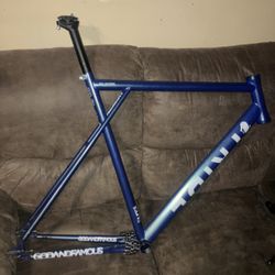 Tribe fixie frame