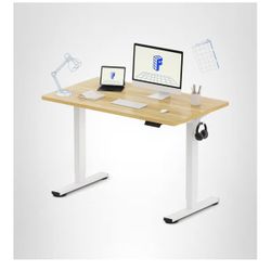 Brand New Standing Desk