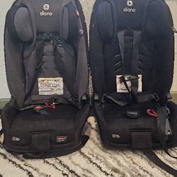 Dino Carseats