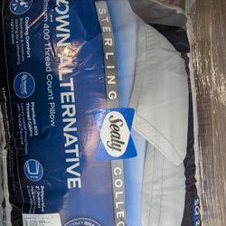 Sealy Pillow- 2 Pack