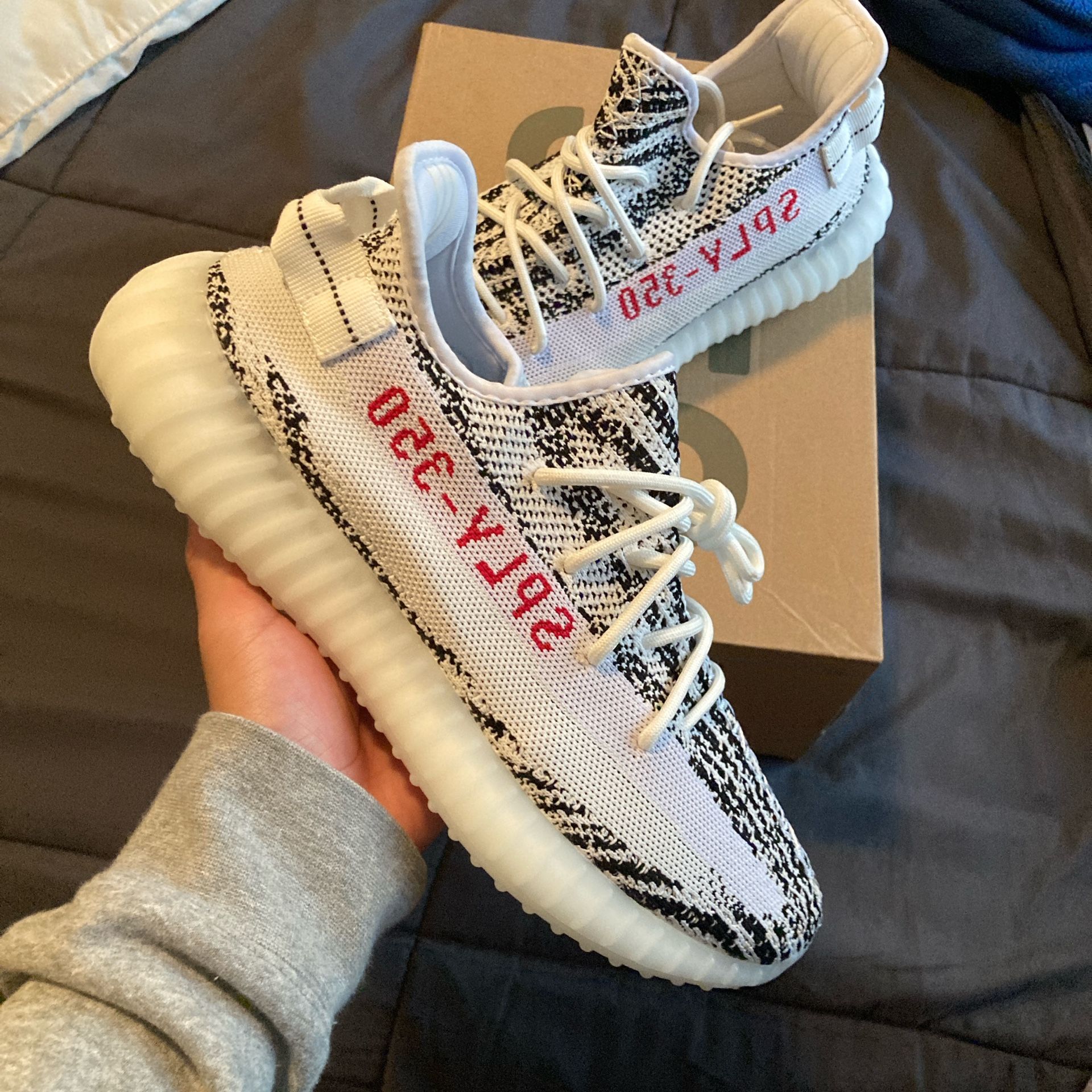 Yeezy 350 Zebra