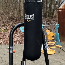Heavy Bag, Stand  And Gloves