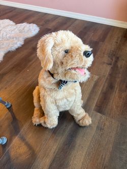FurReal my biscuit, lovin pup