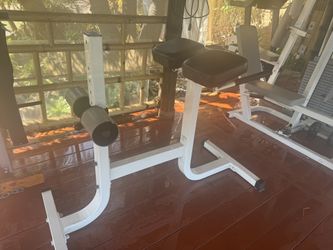 DUAL HYPERXTENSION . Abdominals / Lower Back Muscles