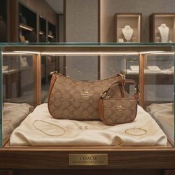 👜✨ ¡BOLSAS Y CARTERAS PARA TODOS LOS GUSTOS!  ✨👜  🤑🩷Desde $40 dlls🤑🩷