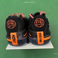 Eybl Gt Cut 1