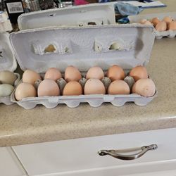 Farm fresh Eggs