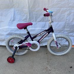 16” Bicycle