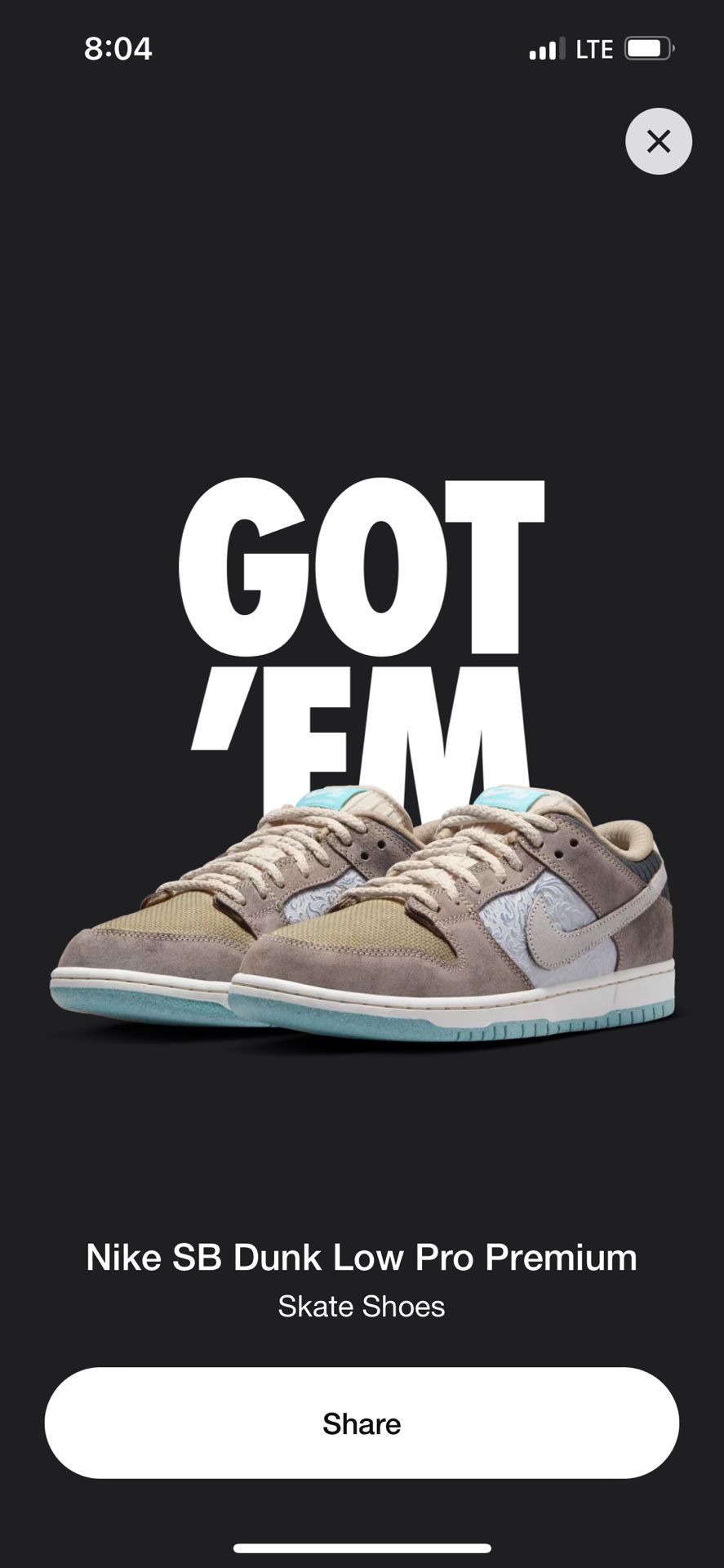 Nike Sb Dunk Big Money Savings 