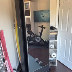 Norditrack Mirror ( Built In Screen)