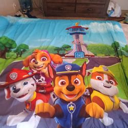Twin Paw Patrol Bed Set
