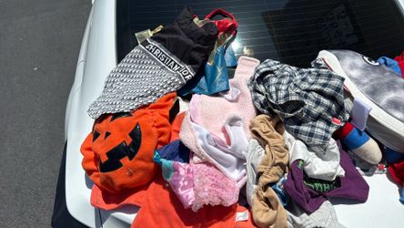 Free dog cloths