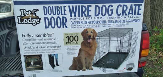 Folding Dog Crate