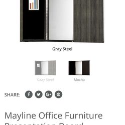 Mayline Visual Presentation Board 