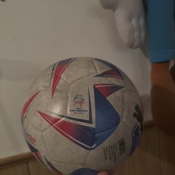 Copa America Ball Match Replica