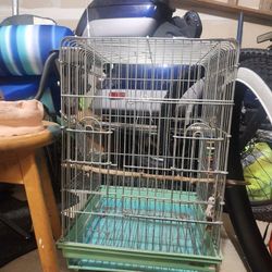 Medium Bird Cage 