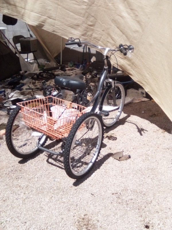 24" Northwood By Kent Trike 7speed