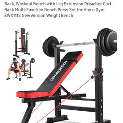 Work Out Bench