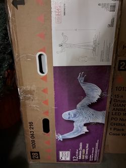 Halloween Decorations