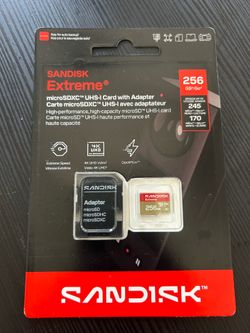 Micro SD 256GB