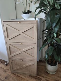 Wooden Shoe Cabinet (Almost New)