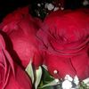 Lizbeth