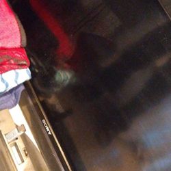 Sony Black 50 Inch TV N Oven